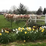 La Riviérette *